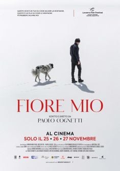 Locabdina film: Fiore Mio