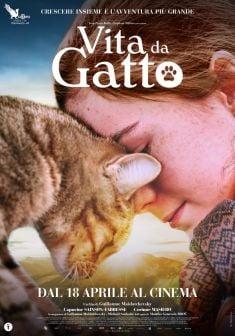 Locabdina film: Vita da Gatto