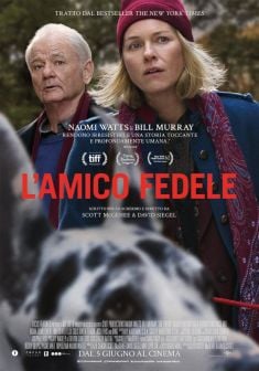 Locabdina film: L'Amico Fedele