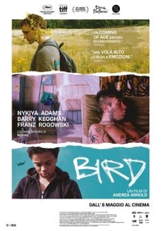 Locabdina film: Bird