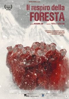 Locabdina film: Il Respiro della Foresta