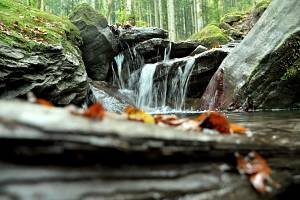 Magia d'autunno: i colori del foliage in Toscana