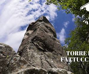 Evento Escursione guidata alla torre del Fattucchio - Andare a Zonzo Trekking ed Escursioni