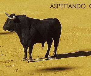 Evento Aspettando Carmen - Teatro del Borgo