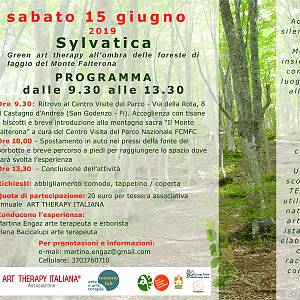 Gallery Evento