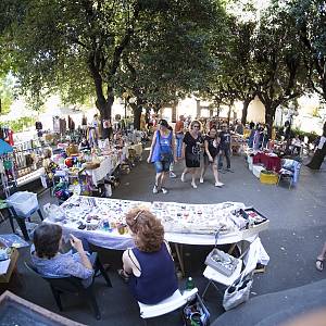 Gallery Evento