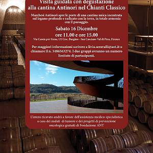 Gallery Evento