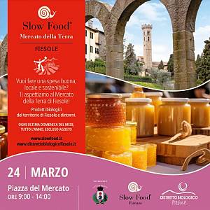 Gallery Evento
