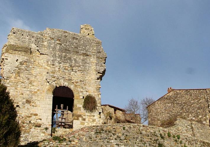 Evento Escursione guidata alla Torre di Galatrona e al Castello di Cennina - Andare a Zonzo Trekking ed Escursioni