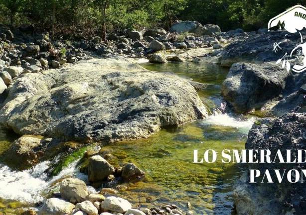 Evento Lo Smeraldo Pavone: escursione guidata sul torrente Pavone - Andare a Zonzo Trekking ed Escursioni