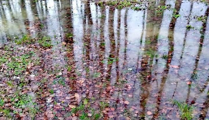 Piogge e temporali: codice giallo fino alle 8 di sabato 23 settembre
