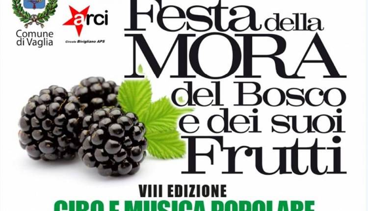 Festa della Mora a Vaglia