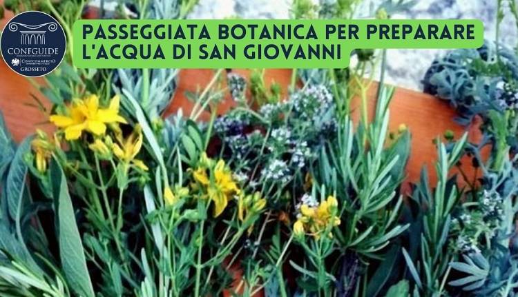 Passeggiata botanica per preparare l'acqua di San Giovanni