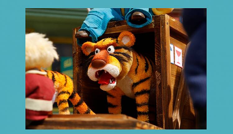 Evento La tigre e gli animali della foresta Cinema La Compagnia