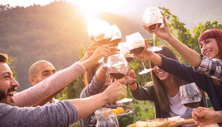 Evento Vendemmia in festa e cena in giardino Fattoria Santo Stefano