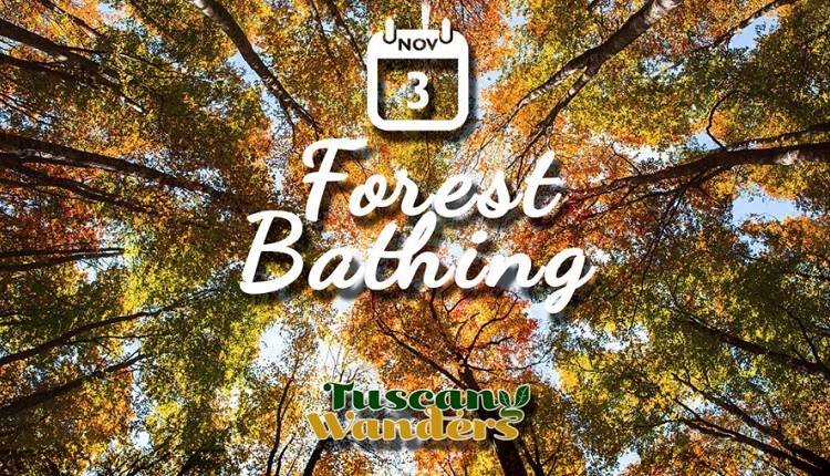 Evento Forest Bathing nelle foreste dell'Acquerino Riserva Naturale Acquerino