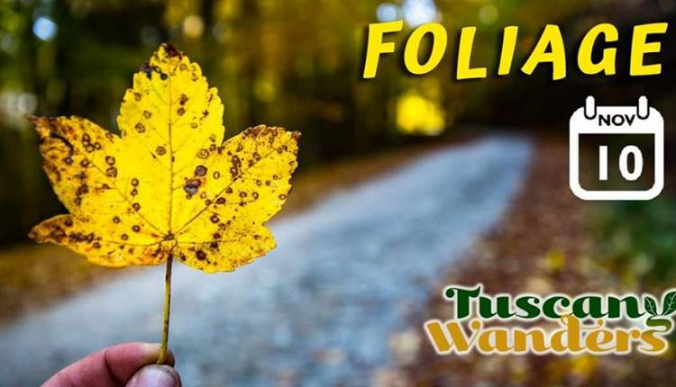Evento Foliage: la magia dei colori in Casentino Parco Nazionale delle Foreste Casentinesi, Monte Falterona, Campigna - Centro Visite Badia Prataglia