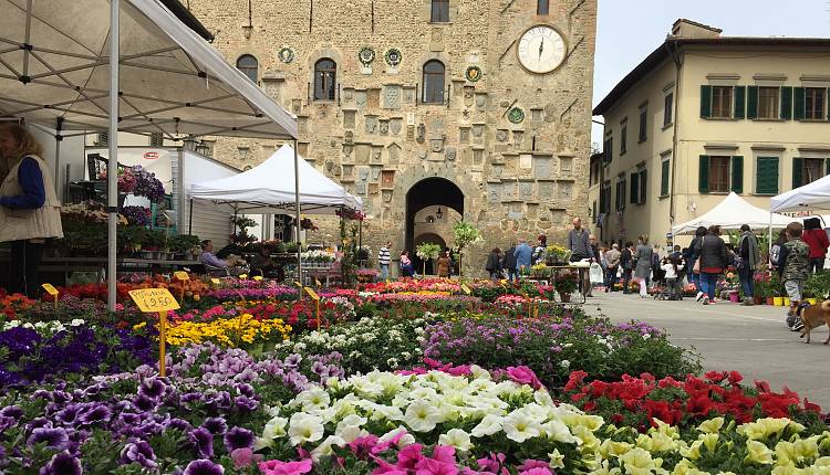 Evento 2000 Fiori a Scarperia e Collezionisti in piazza Dintorni di Firenze