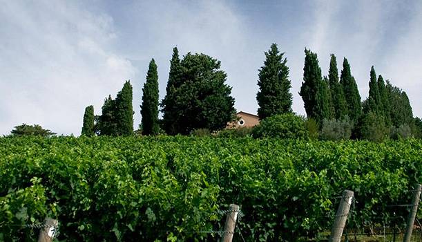 Evento Marchese Lodovico Antinori, Nuova Zelanda e Bibbona le tenute dei due mondi, Mount Nelson e Tenuta di Biserno Trattoria Da Burde