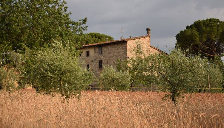 Evento 3° Festa della Battitura Azienda Agricola Monna Giovannella 