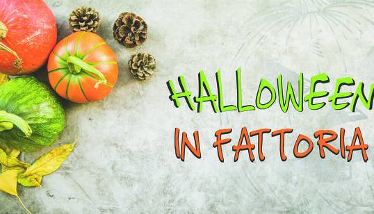 Evento Halloween in fattoria Fattoria didattica di Penelope