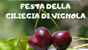 Evento Festa della ciliegia di vignola IGP Prato 