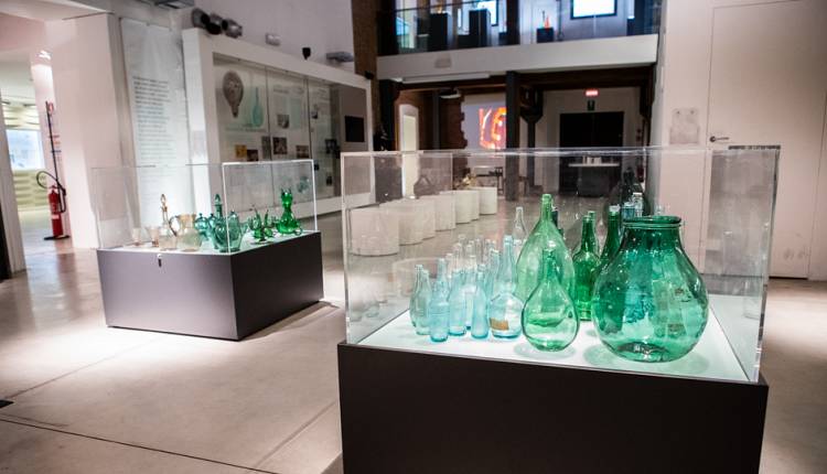 Evento Paleontologi per un giorno Museo civico di paleontologia 