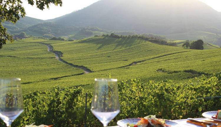 Evento Un viaggio in Alsazia tra i Grand Cru del Riesling La Divina Enoteca