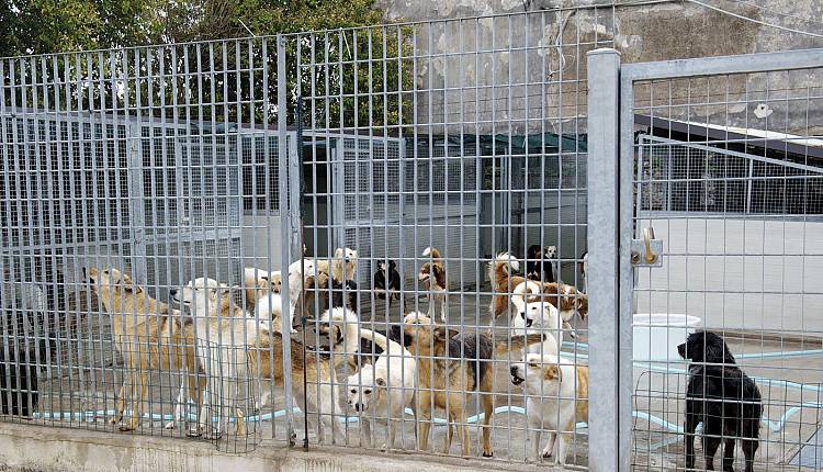 Evento Mercatino di beneficenza Saletta Via II Giugno