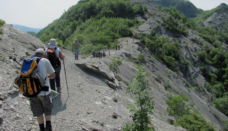 Evento Picnic, escursioni a piedi e a cavallo: Pasqua nel parco nazionale delle Foreste casentinesi Parco Nazionale delle Foreste Casentinesi, Monte Falterona, Campigna - Centro Visite Badia Prataglia