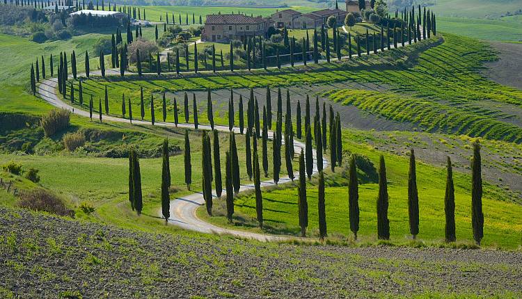 Evento Da Siena a Cortona, Pasqua sull'antica via dei pellegrini crete senesi 