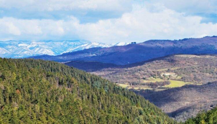 Evento Escursione guidata sul Monte Morello Andare a Zonzo Trekking ed Escursioni