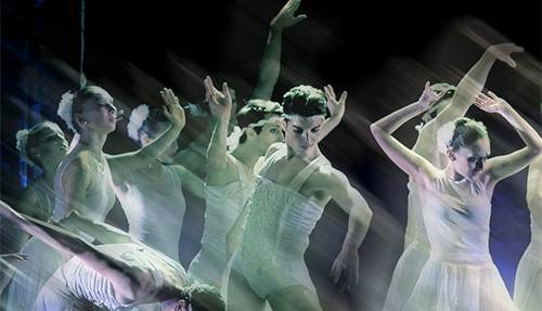 Evento Il lago dei cigni, Balletto del Sud Teatro Verdi