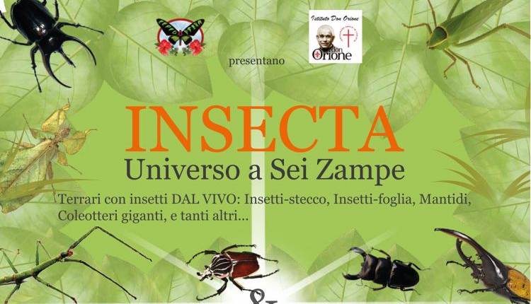 Evento Insecta & Gioielli con 6 zampe Istituto Don Orione