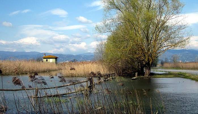 Evento Open Week della Valdinievole Centro Visite della Riserva Naturale del Padule di Fucecchio
