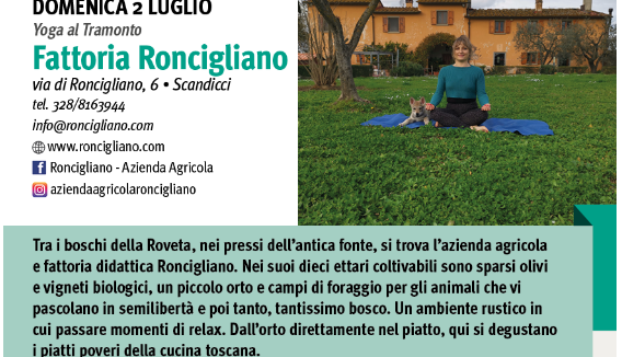Evento Passeggiata con gli Alpaca a Scandicci Fattoria di Roncigliano