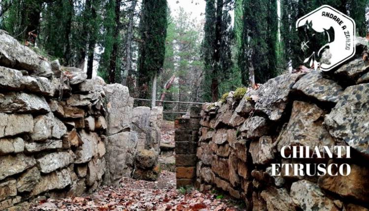 Evento Escursione guidata Chianti etrusco Andare a Zonzo Trekking ed Escursioni