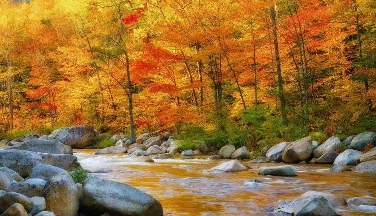 Evento L'autunno: il raccolto - Seminario di pratica Qi Gong Fattoria Mondeggi Bene Comune