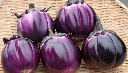 Evento Sagra della violetta, la melanzana fiorentina Ristorante TimeOut Firenze
