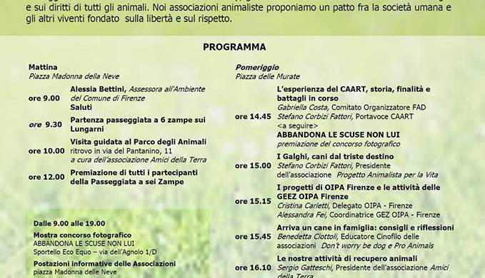 Evento Animal Party Blue Velvet