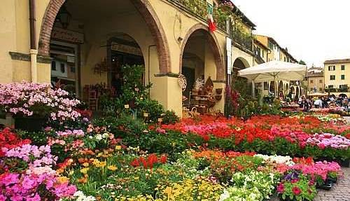 Evento Mostra Mercato Piante e Fiori Greve in Chianti Piazza Santa Croce Greve in Chianti
