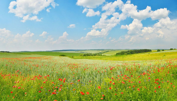 Evento Escursione guidata di Pasquetta a Santa Luce Andare a Zonzo Trekking ed Escursioni