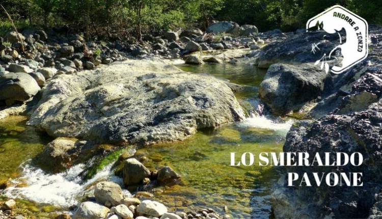 Evento Lo Smeraldo Pavone: escursione guidata sul torrente Pavone Andare a Zonzo Trekking ed Escursioni