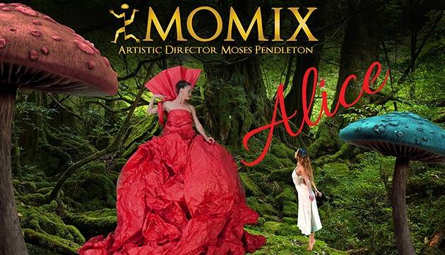Evento Alice Momix Teatro Verdi