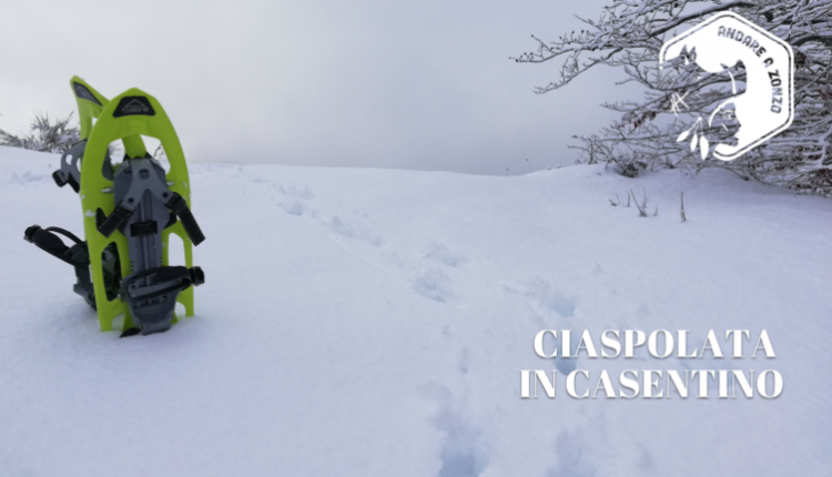 Evento Ciaspolata in Casentino Andare a Zonzo Trekking ed Escursioni