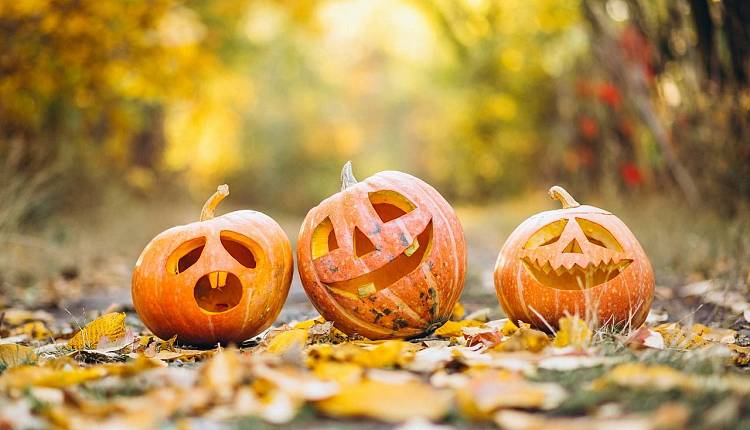 Evento Halloween: i laboratori per bambini al Centro polifunzionale di San Donato  Centro Polifunzionale San Donato