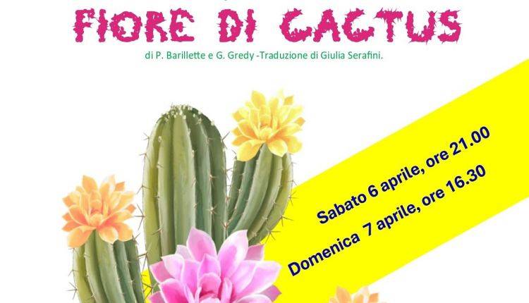 Evento Fiore di cactus Teatro del Borgo