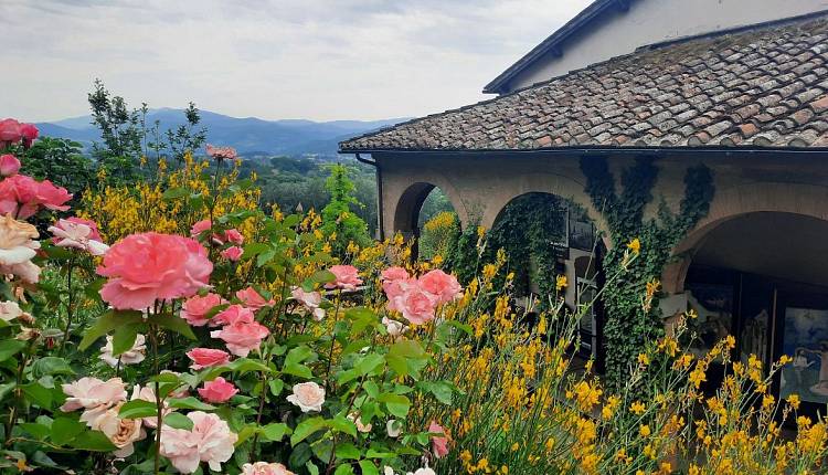 Evento Escursione guidata a Vicchio del Mugello Andare a Zonzo Trekking ed Escursioni