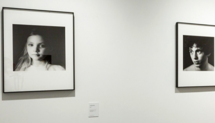Evento Campo aperto, Tutto è Natura: la fotografia di Luciana Majoni Museo Novecento