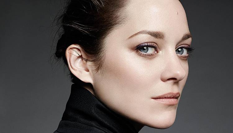 Mal de pierres con Marion Cotillard Cinema La compagnia - Eventi a Firenze